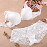 Women Underwear Intimates Set Push up Bra Set Transparent Lace Bra and Panty Set Lingerie Set