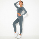 Women Sport Suit 2 Piece Fitness Tracksuit Set Gym Workout Clothes Long Sleeve Crop Top+High Waist Leggings Fitness Yoga Sets