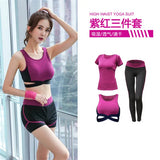 5 pieces sets coat+t shirt+bra+shorts+leggings women yoga clothing quick dry outdoor sports running fitness gym ropa deportiva