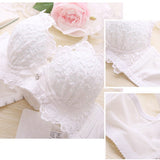 Sexy Underwear Set Push Up Bra Set For Women Underwear Lace Embroidery Bralette Set Women Intimates Lingerie AB Cup